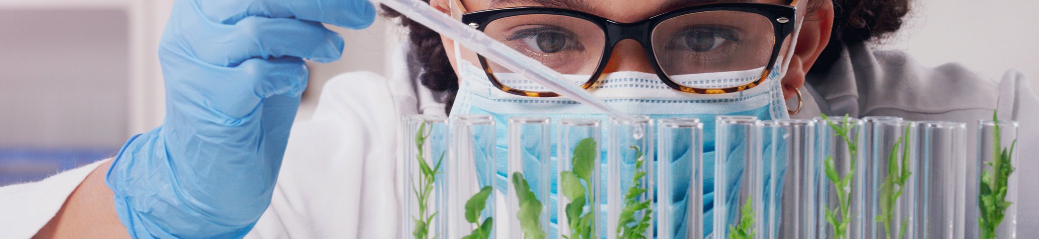 AgricultureMarketBanrheadline 2 AgricultureMarketBanrheadline 2